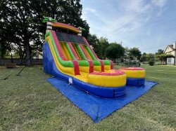 IMG 2643 1721644235 18 FT Tropical Double Lane Water/Dry Slide